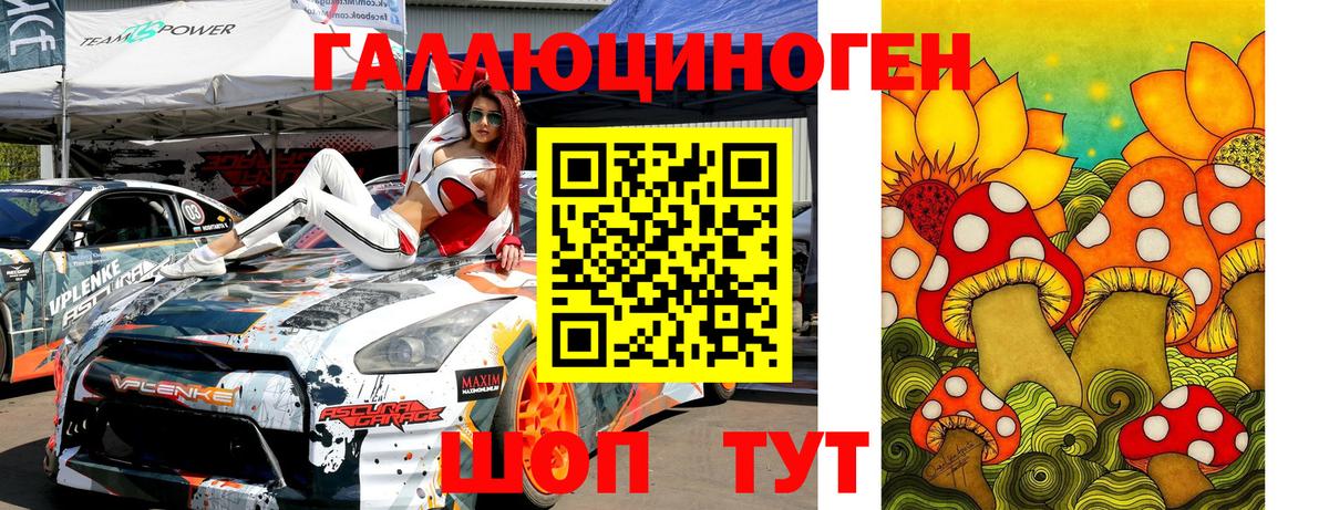 Галлюциногенные грибы Psilocybine cubensis Кисловодск