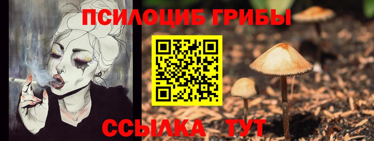 Галлюциногенные грибы мухоморы  Галлюциногенные грибы Cubensis  Вход с VPN  Кисловодск 